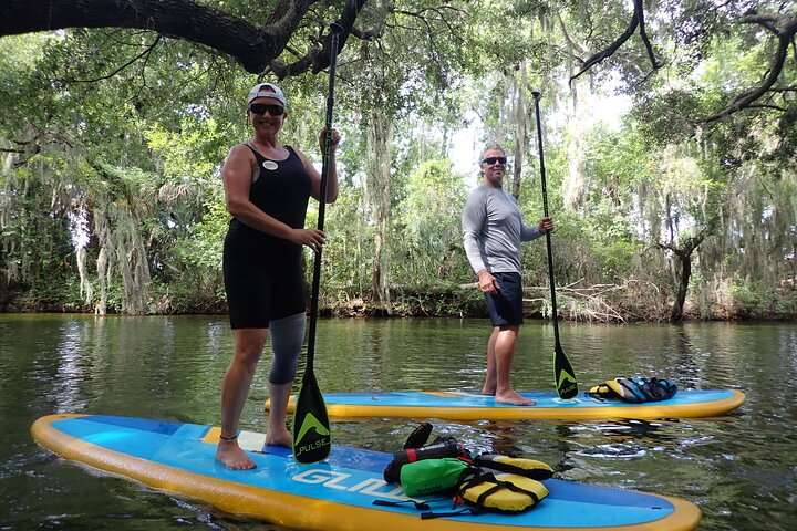 Stand Up Paddle Boarding through the scenic Dora Canal on the Lake Harris Chain of Lakes.